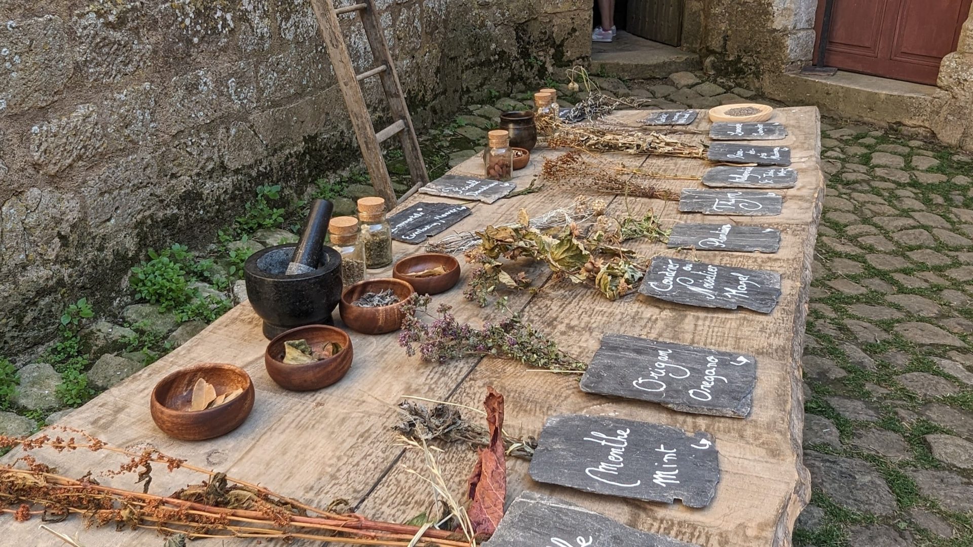 animation-exterieur-biron